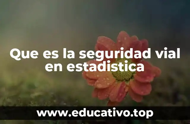 Que es la seguridad vial en estadistica