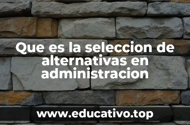 Que es la seleccion de alternativas en administracion