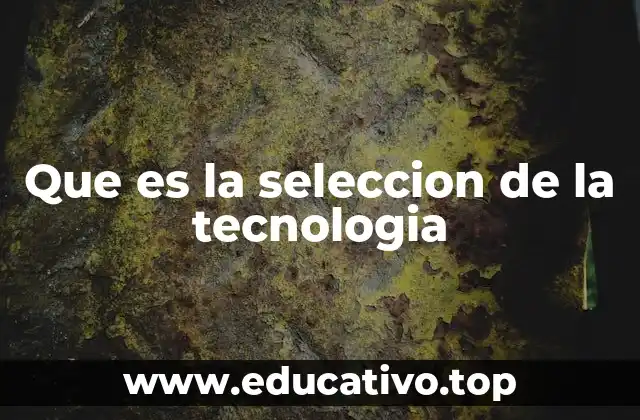 Que es la seleccion de la tecnologia
