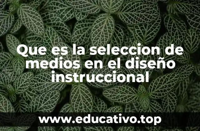 Que es la seleccion de medios en el diseño instruccional