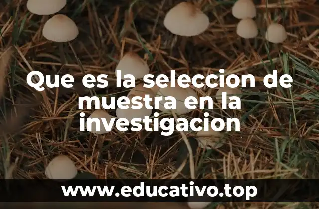 Que es la seleccion de muestra en la investigacion