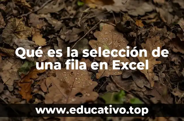 Qué es la selección de una fila en Excel