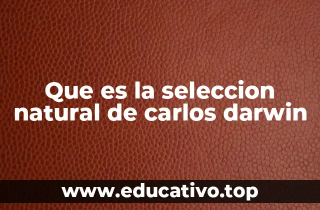 El proceso evolutivo a través de la selección natural