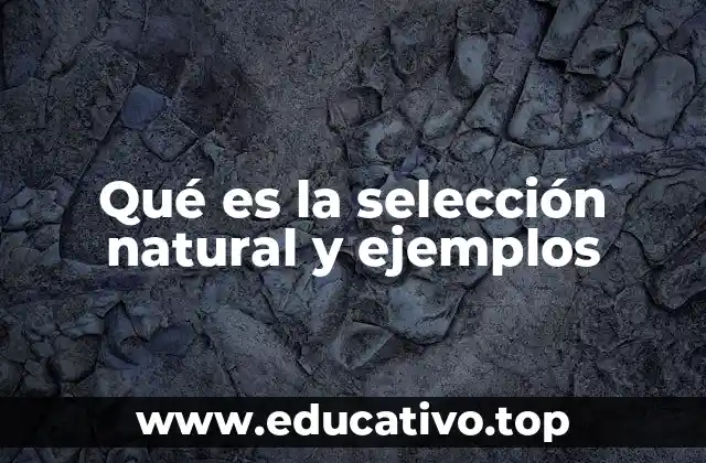 Qué es la selección natural y ejemplos