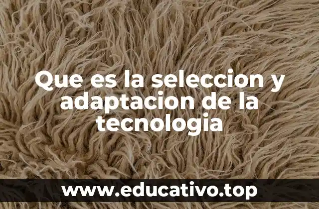 Que es la seleccion y adaptacion de la tecnologia