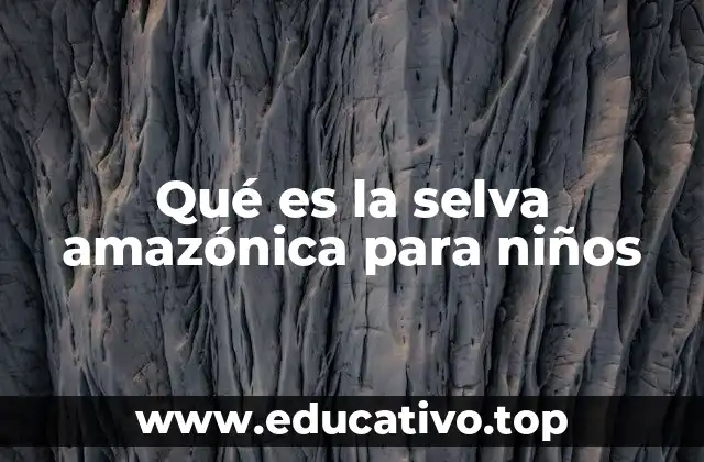 Qué es la selva amazónica para niños