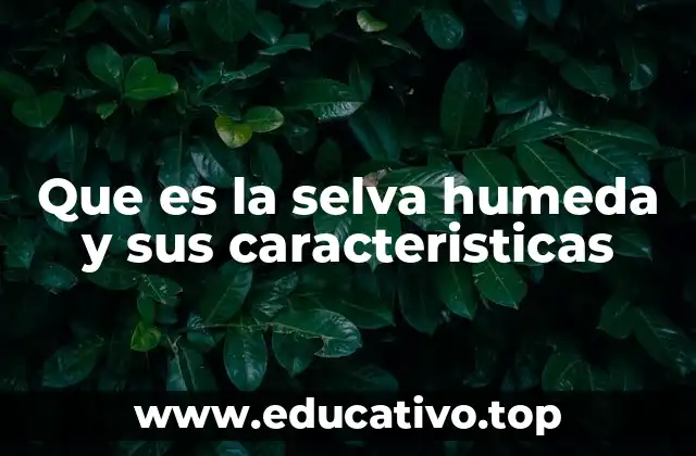 Que es la selva humeda y sus caracteristicas