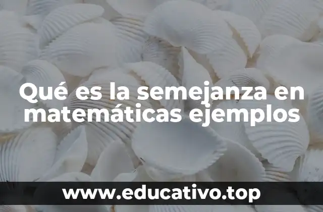 Qué es la semejanza en matemáticas ejemplos