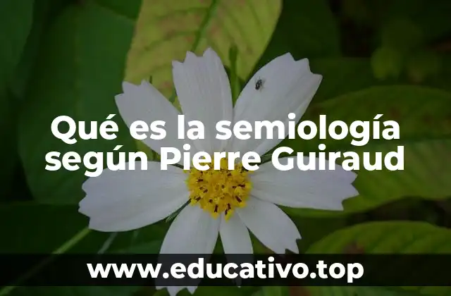 Qué es la semiología según Pierre Guiraud