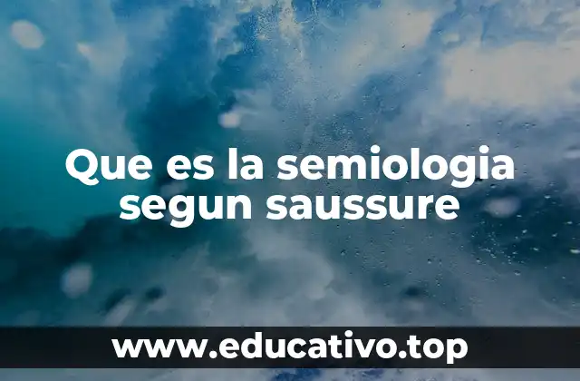 Que es la semiologia segun saussure