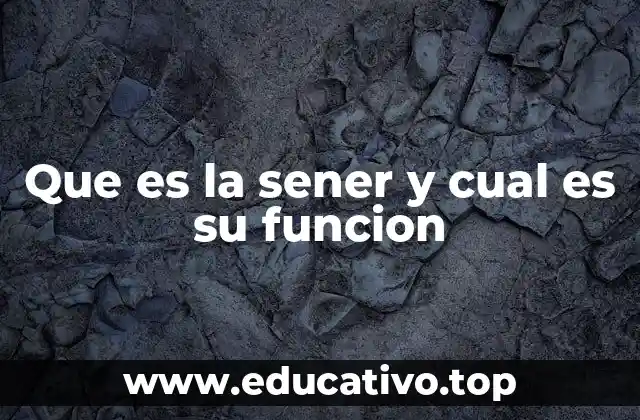 Que es la sener y cual es su funcion