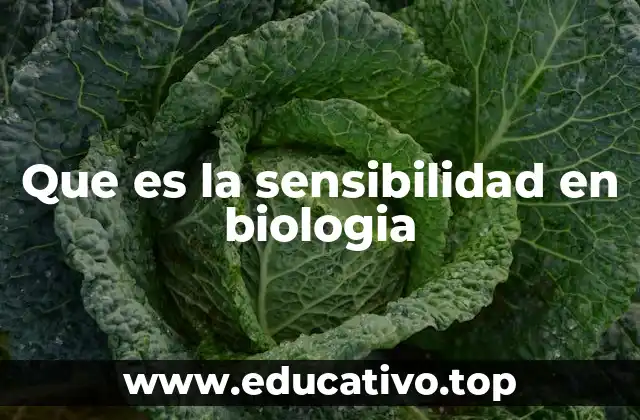 Que es la sensibilidad en biologia