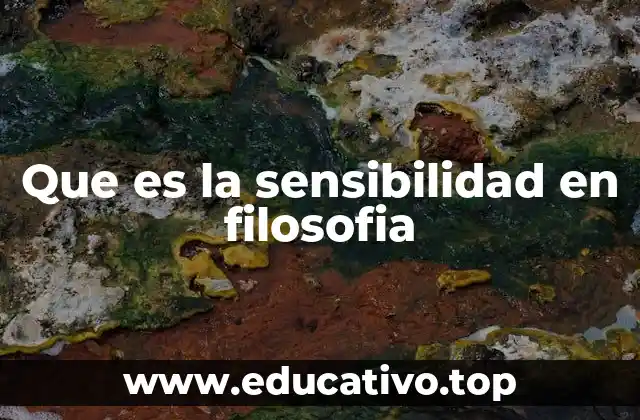 Que es la sensibilidad en filosofia