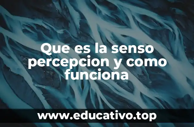 Que es la senso percepcion y como funciona