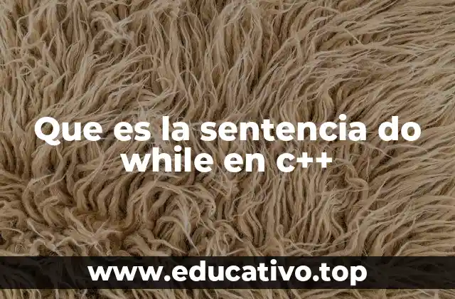 Que es la sentencia do while en c++