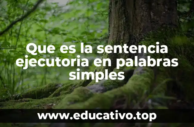 Que es la sentencia ejecutoria en palabras simples