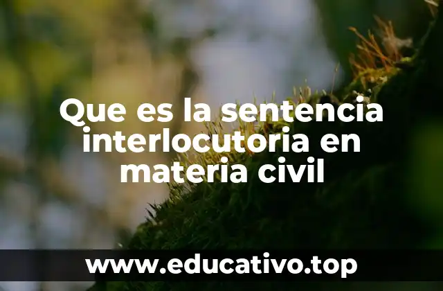 Que es la sentencia interlocutoria en materia civil