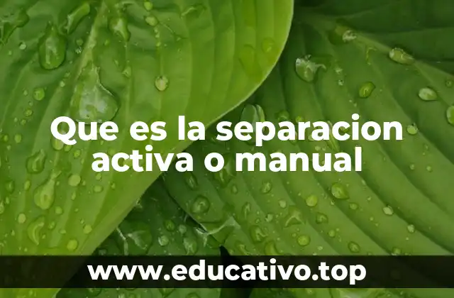 Que es la separacion activa o manual