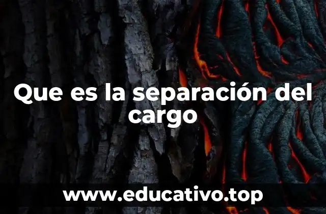 Que es la separación del cargo