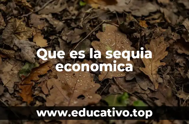 Que es la sequia economica