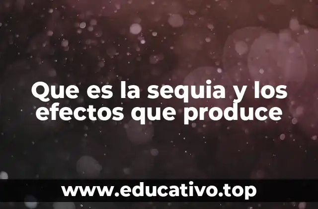 Que es la sequia y los efectos que produce