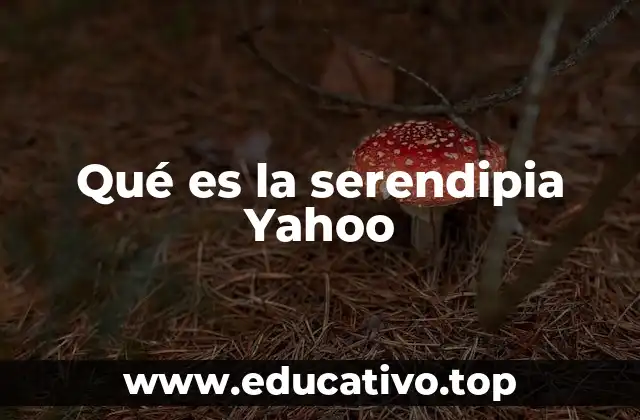 Qué es la serendipia Yahoo