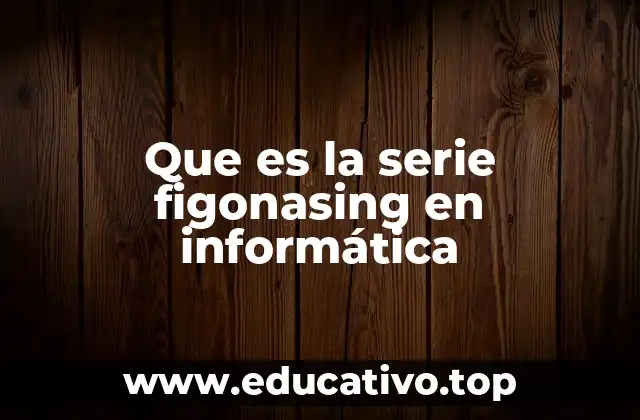 Que es la serie figonasing en informática