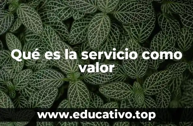 Qué es la servicio como valor