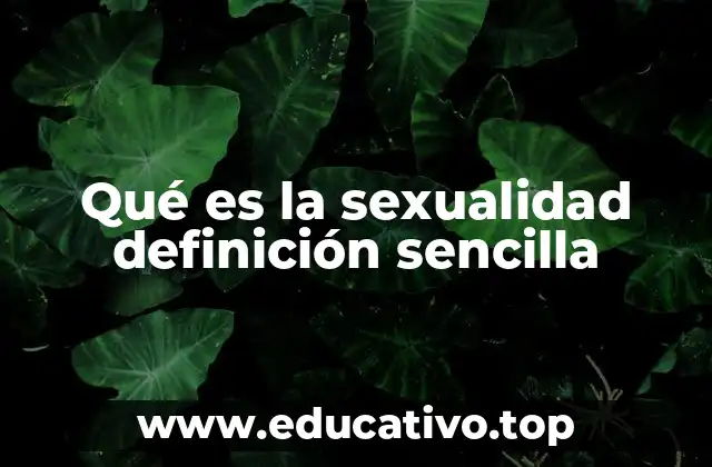 Qué es la sexualidad definición sencilla