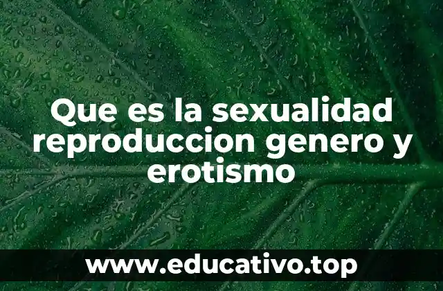 Que es la sexualidad reproduccion genero y erotismo