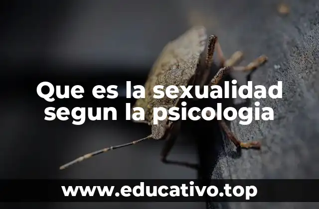 Que es la sexualidad segun la psicologia