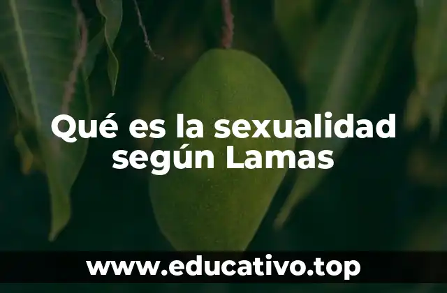 Qué es la sexualidad según Lamas