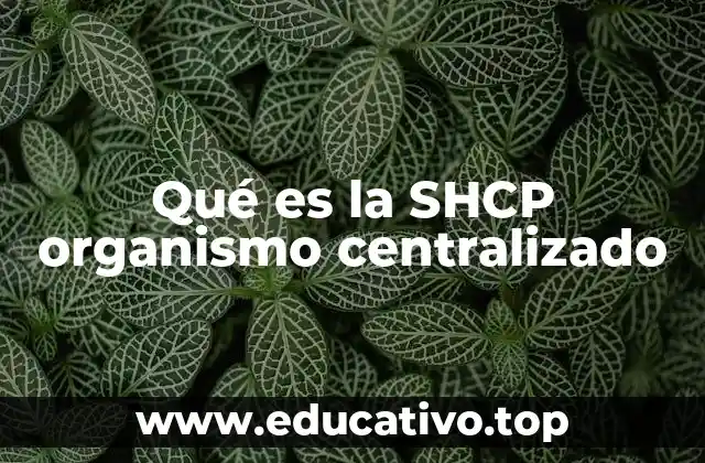 Qué es la SHCP organismo centralizado