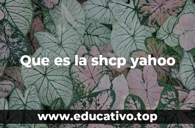 Que es la shcp yahoo