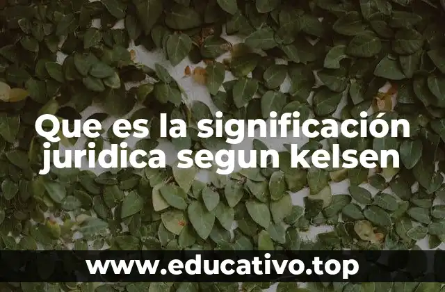 Que es la significación juridica segun kelsen