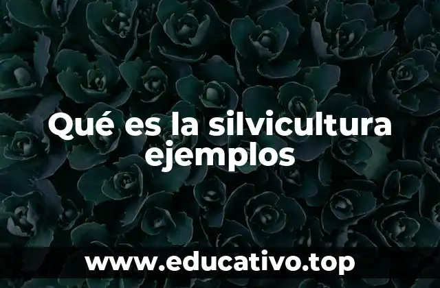 Qué es la silvicultura ejemplos