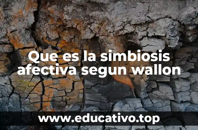 Que es la simbiosis afectiva segun wallon