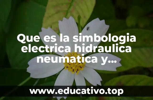 Que es la simbologia electrica hidraulica neumatica y electromecanica