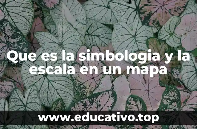 La importancia de interpretar correctamente los elementos gráficos en mapas