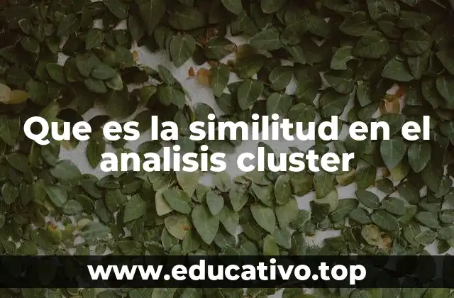 Que es la similitud en el analisis cluster