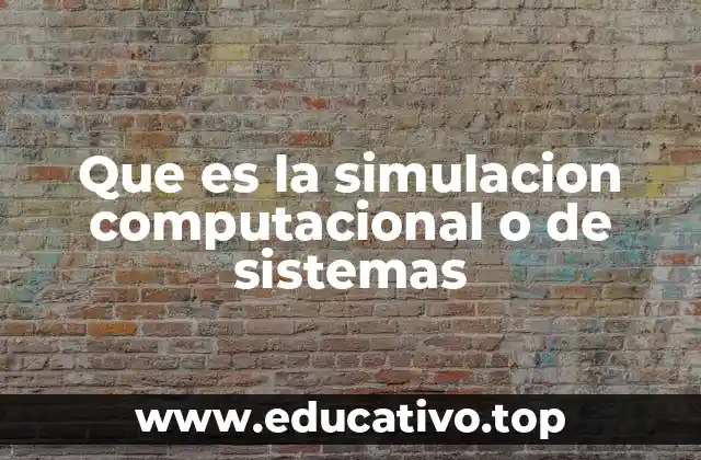 La importancia de recrear sistemas complejos en entornos virtuales