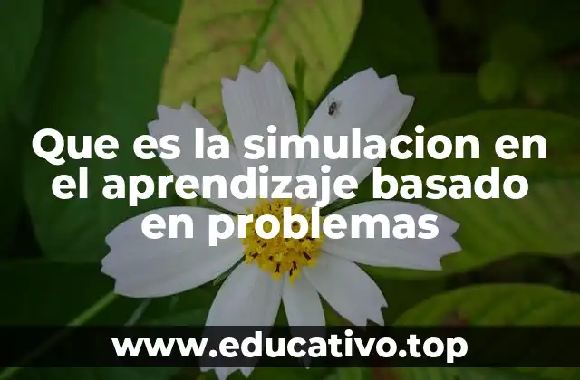 Que es la simulacion en el aprendizaje basado en problemas