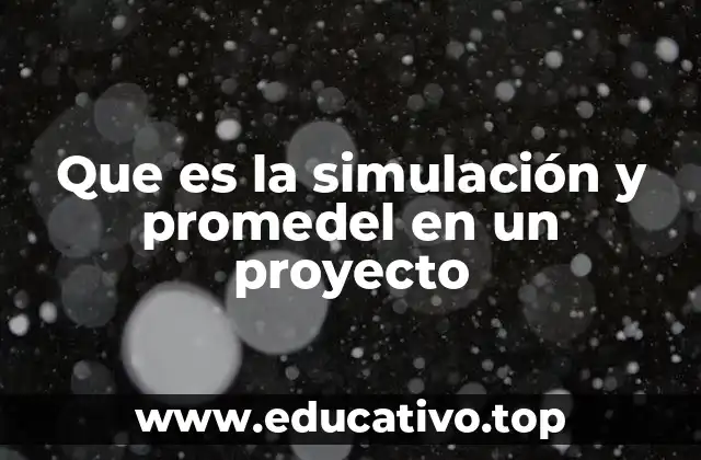 Que es la simulación y promedel en un proyecto