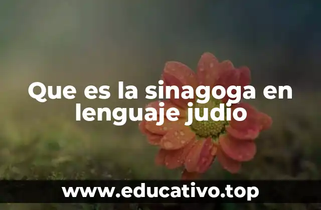 Que es la sinagoga en lenguaje judio