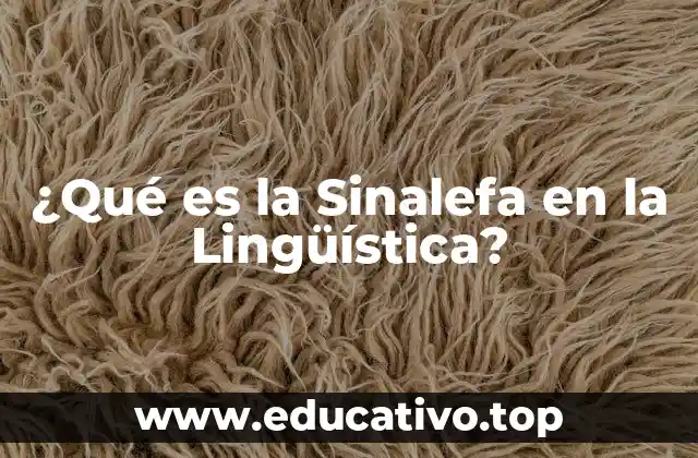 ¿Qué es la Sinalefa en la Lingüística?