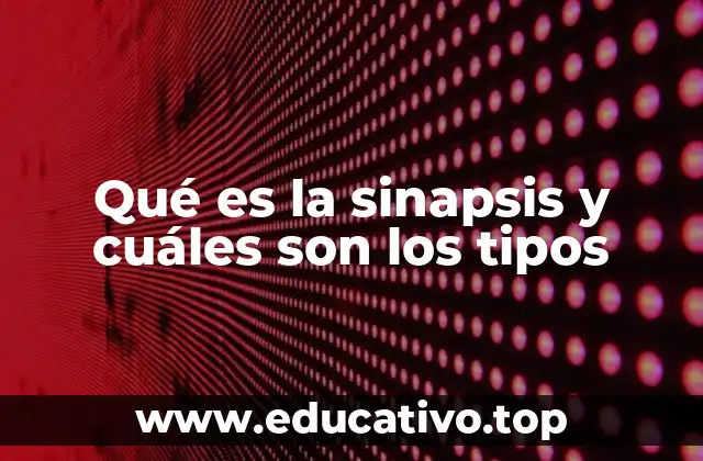 Qué es la sinapsis y cuáles son los tipos
