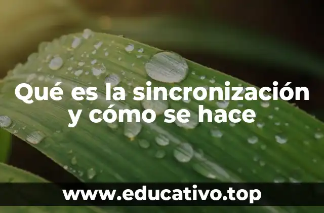 Qué es la sincronización y cómo se hace