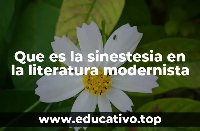 Que es la sinestesia en la literatura modernista