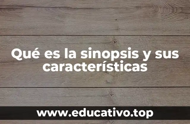 Qué es la sinopsis y sus características