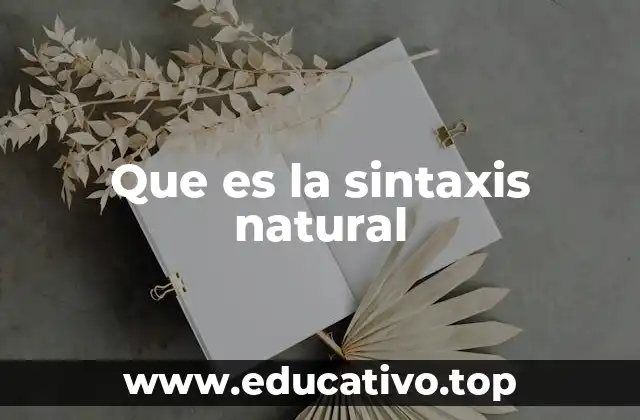 Que es la sintaxis natural